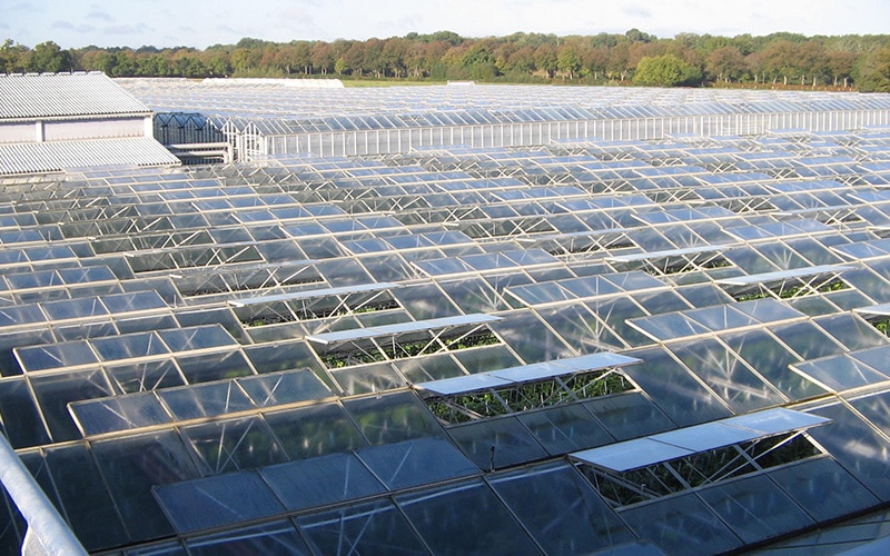 En Anglais: Cogeneration for tomato and lettuce greenhouse operations in Machecoul