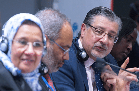 En Anglais: African Energy Day at COP 21
