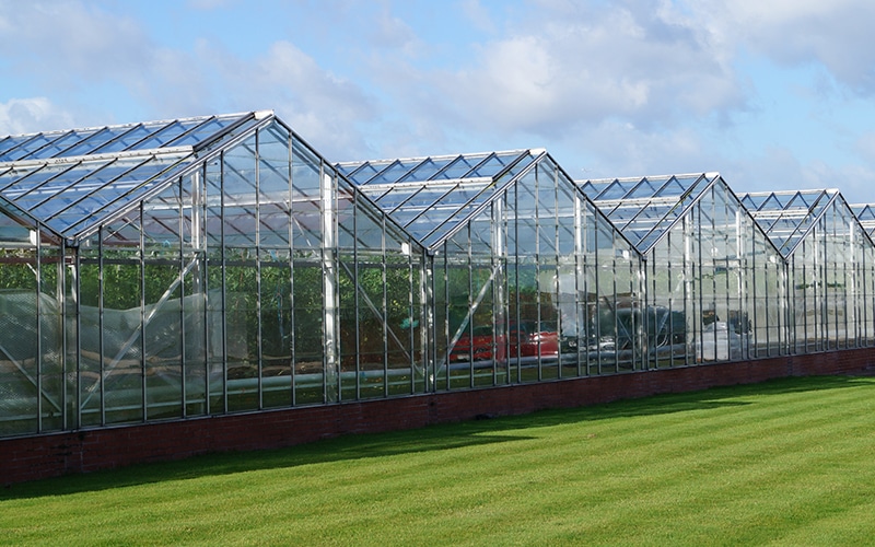 En Anglais: P3P & APS Salads Greenhouse CHP, Alderley Edge