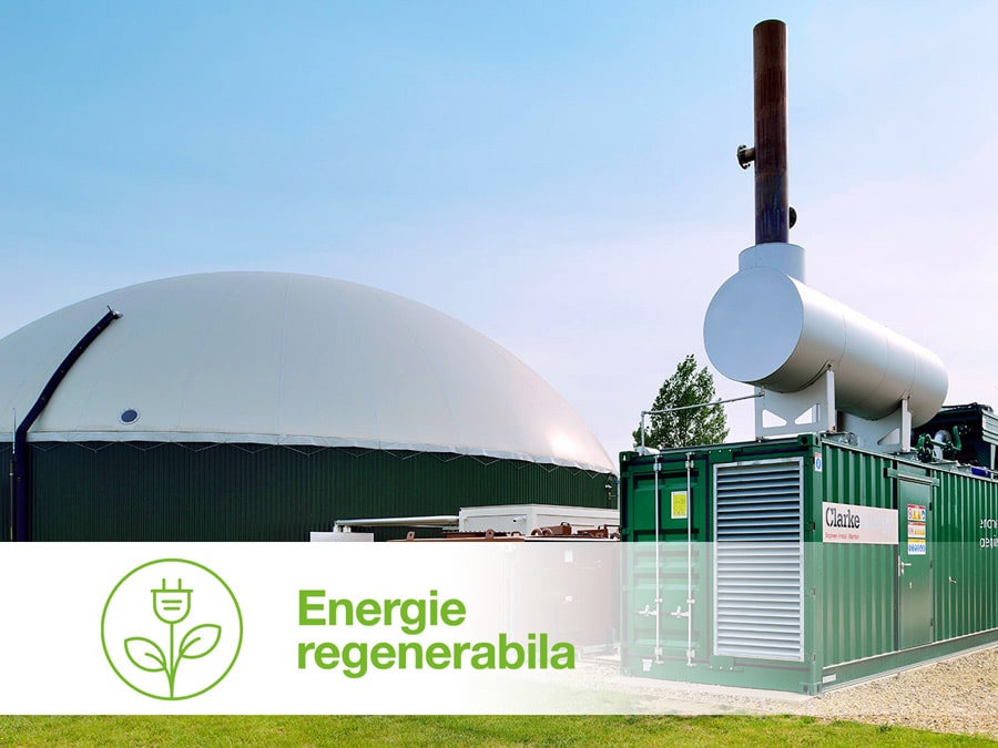 Biogas