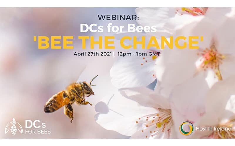 In engleza: Webinar: DCs for Bees ‘Bee The Change’ | April 27th 2021 | Host In Ireland