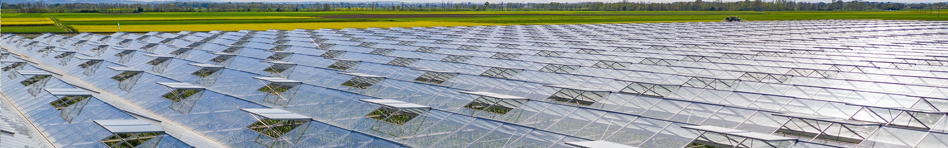 Greenhouse-Header
