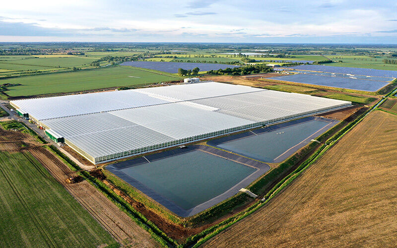 AGR 217,000m² Glasshouse and Energy Centre with 33MWth Heat Pump System and 9MW Combined Heat and Power Plant