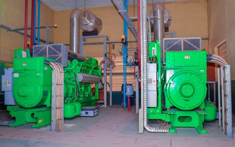Στα αγγλικά: Aba-based Food Processing Firm Leverages Gas to Beat Odds