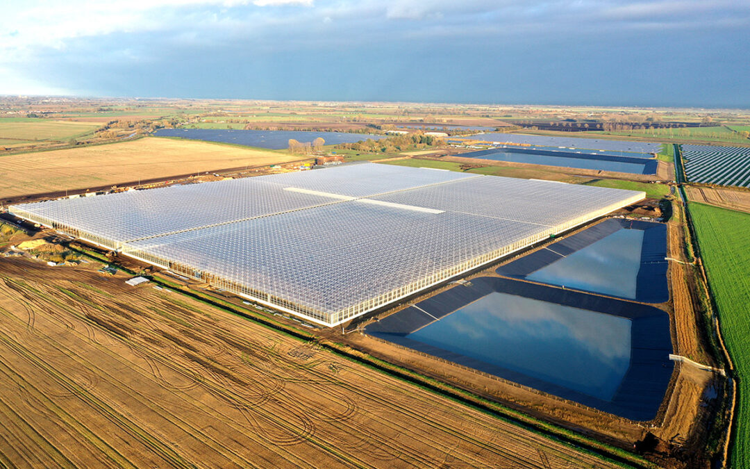 AGR Fenlands Glasshouse 3D Walkthrough Videos