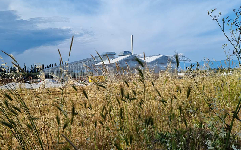 En anglais: Propane Powered CHP Improving Energy Efficiency of Greenhouse Operations in Greece