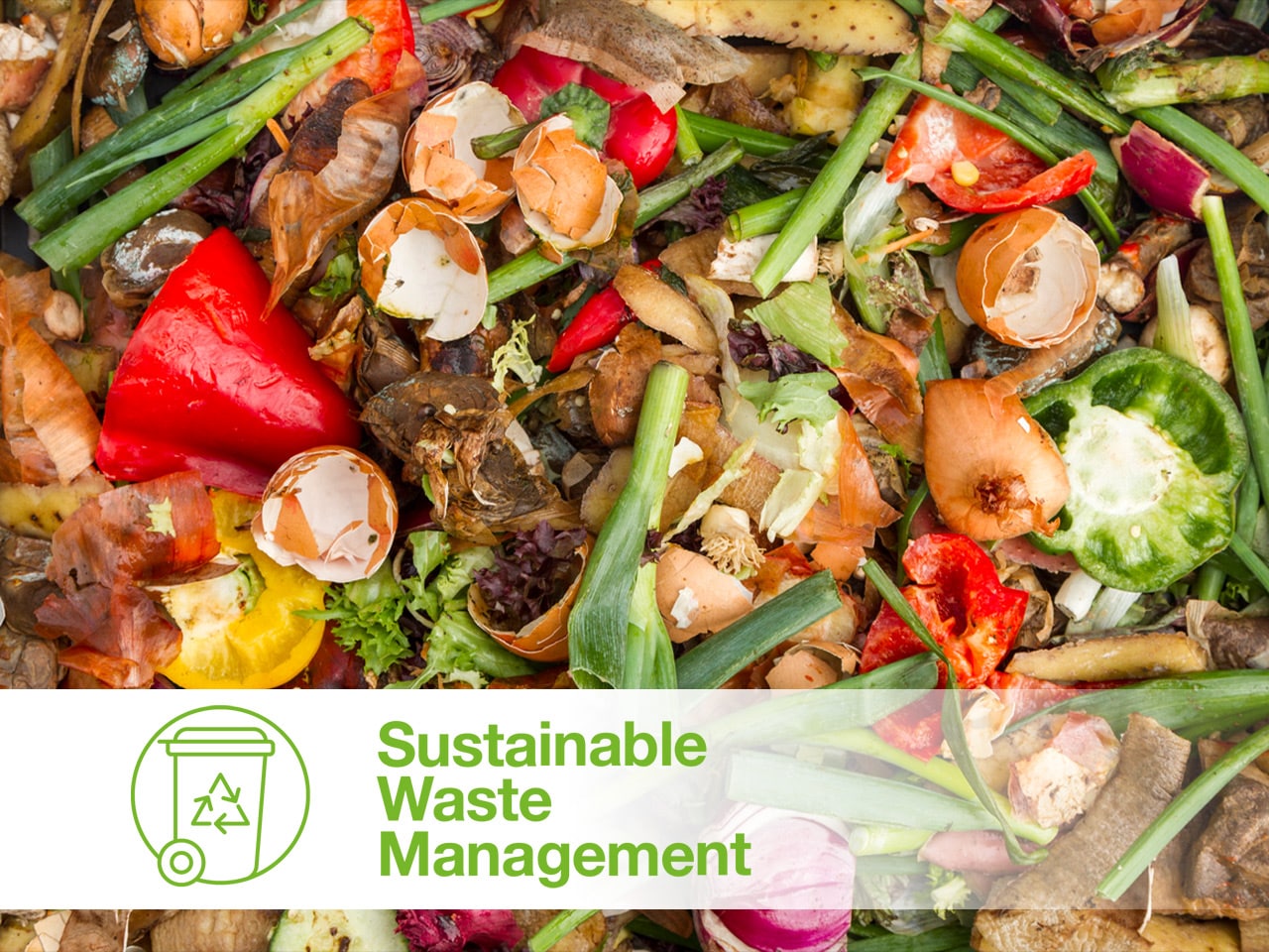 Biogas-Waste