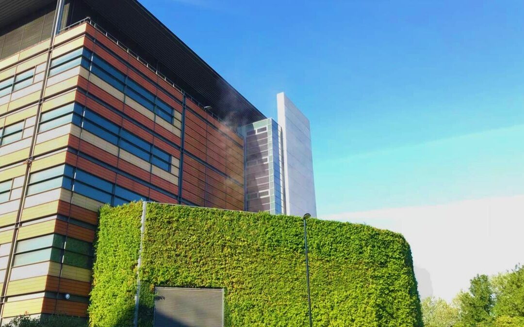 Beyond Electricity: How CCHP Systems Transform Data Center Efficiency and Resilience