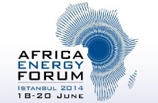 Africa Energy Forum 2014