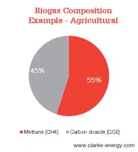 A pie chart showing the composition of biogas derived from agricultural materials