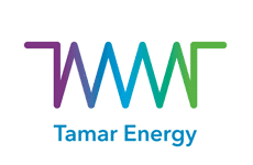 Major Biogas Engine Orders: Tamar Energy