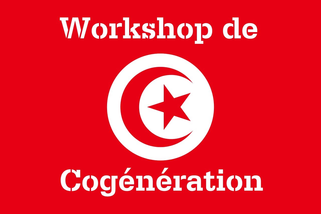 Tunisian Cogeneration Workshop