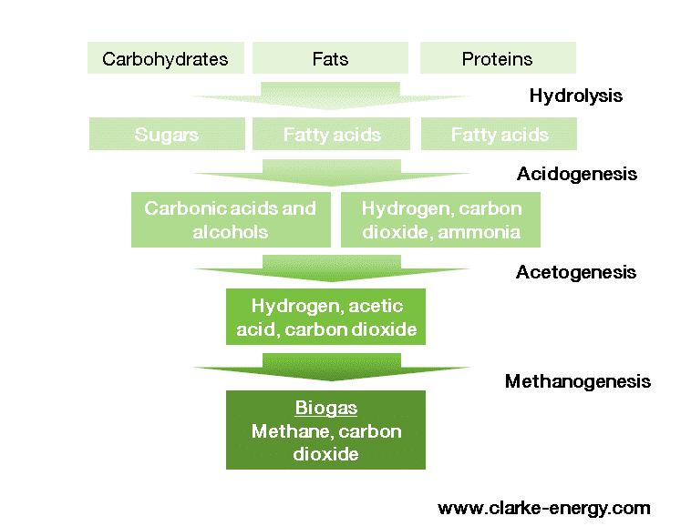 Biogas formation diagram showing hydrolysis, acetogenesis, acidogenesis and methanogenesis