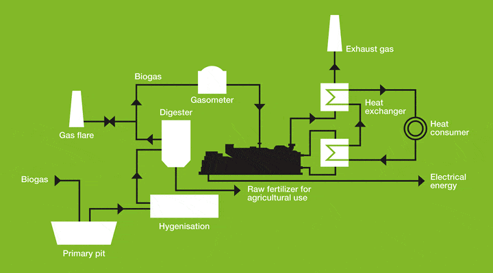 Biogas CHP