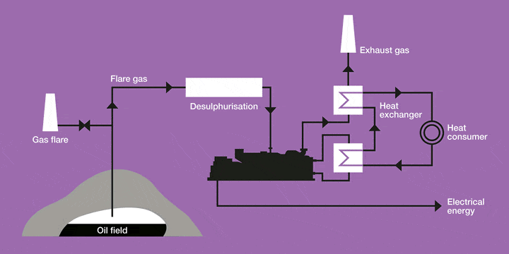 Associated Petroleum Gas