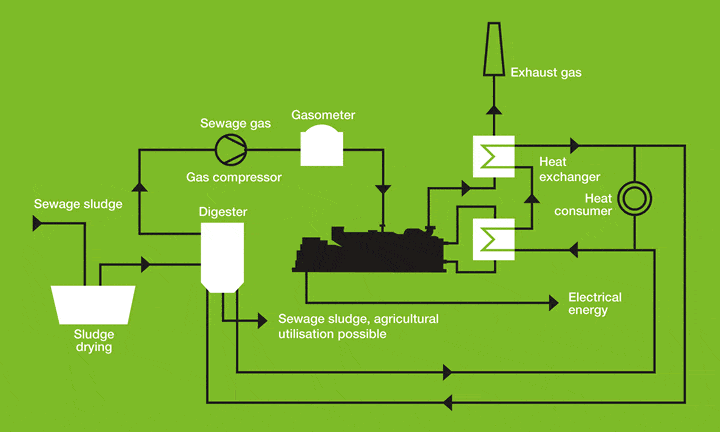 Sewage Gas Production Schematic / flow chart